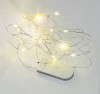 deLIGHTS 2m String Lights